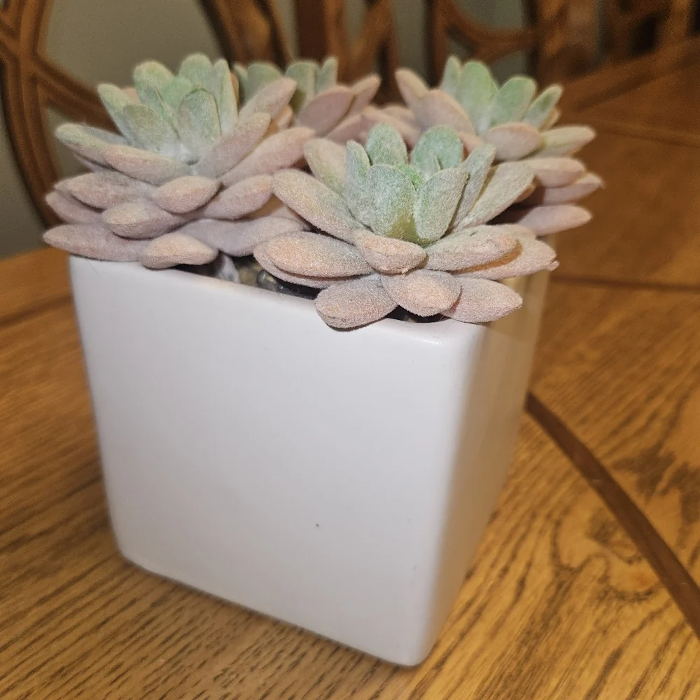 NWT Succulent Artificial Plant Arrangement in Square White Pot 5.4